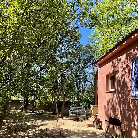 Dom wakacyjny Le Maquis Corse Poggio Mezzana