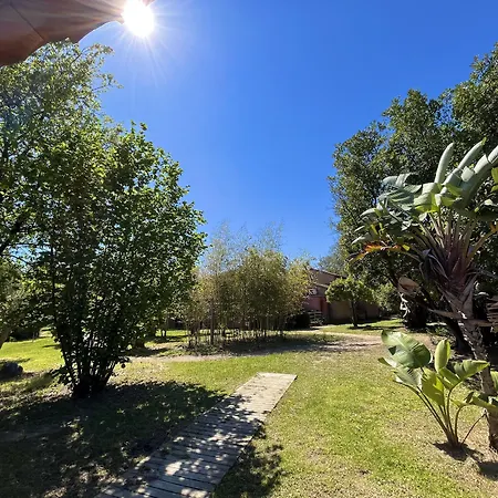 Le Maquis Corse * Poggio Mezzana