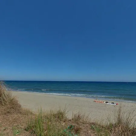 Le Maquis Corse Poggio Mezzana