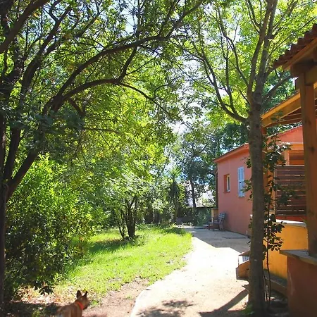 Le Maquis Corse Poggio Mezzana