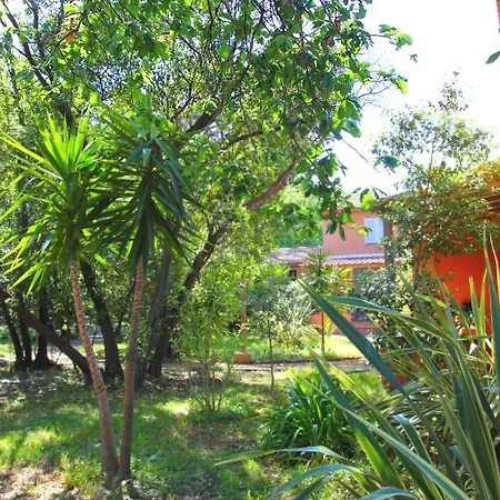 Hébergement de vacances Le Maquis Corse