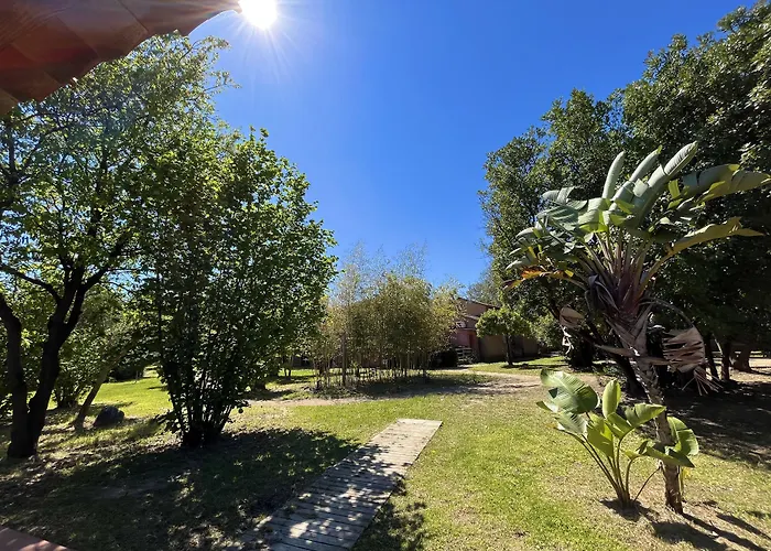 Le Maquis Corse * Poggio Mezzana