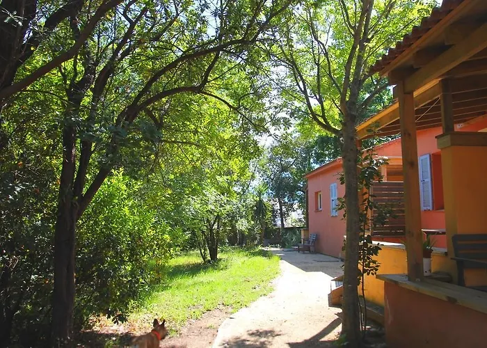 Le Maquis Corse Poggio Mezzana