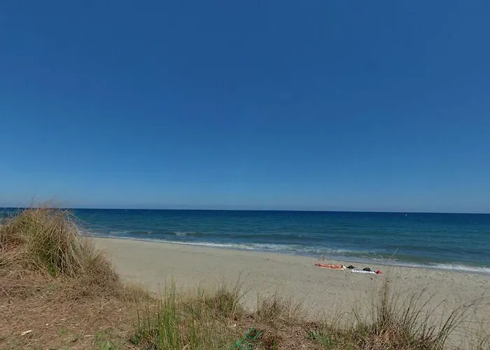 Le Maquis Corse Poggio Mezzana